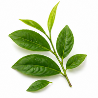 L-Theanine